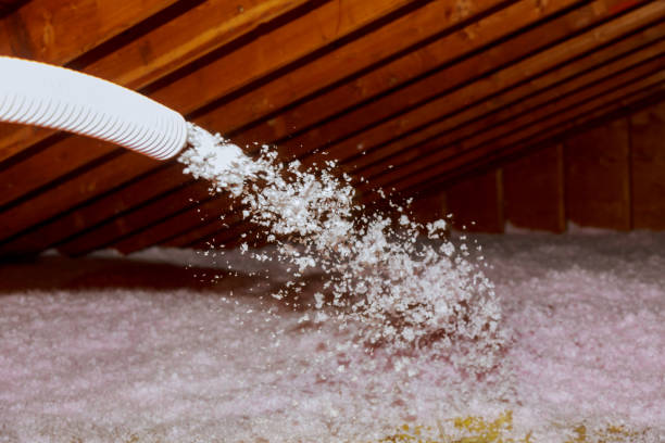 Best Insulation Contractor Near Me  in Heartland, TX