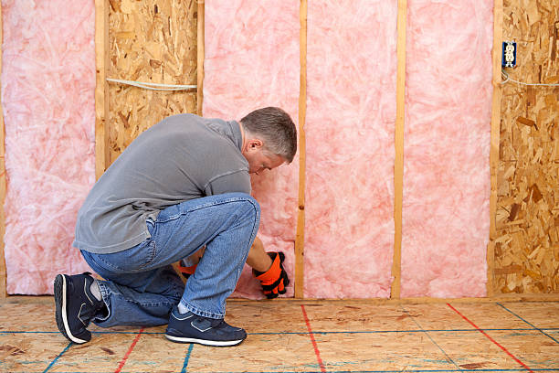 Best Insulation Contractors for Homes  in Heartland, TX