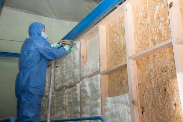 Best Insulation Replacement Services  in Heartland, TX
